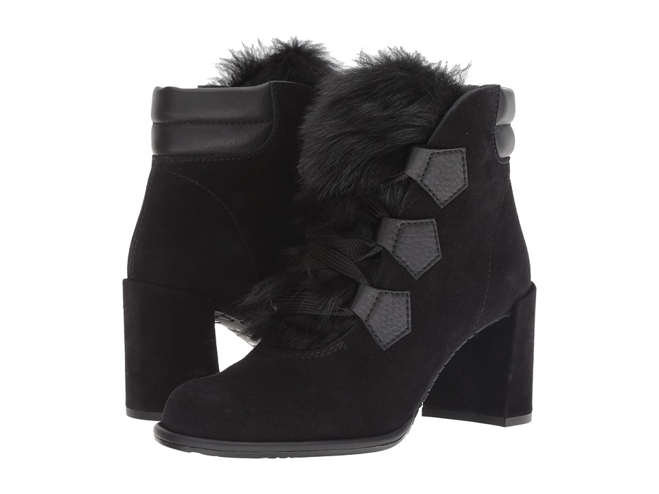 Pedro Garcia Wilmette (Black Castoro) Women's Shoes