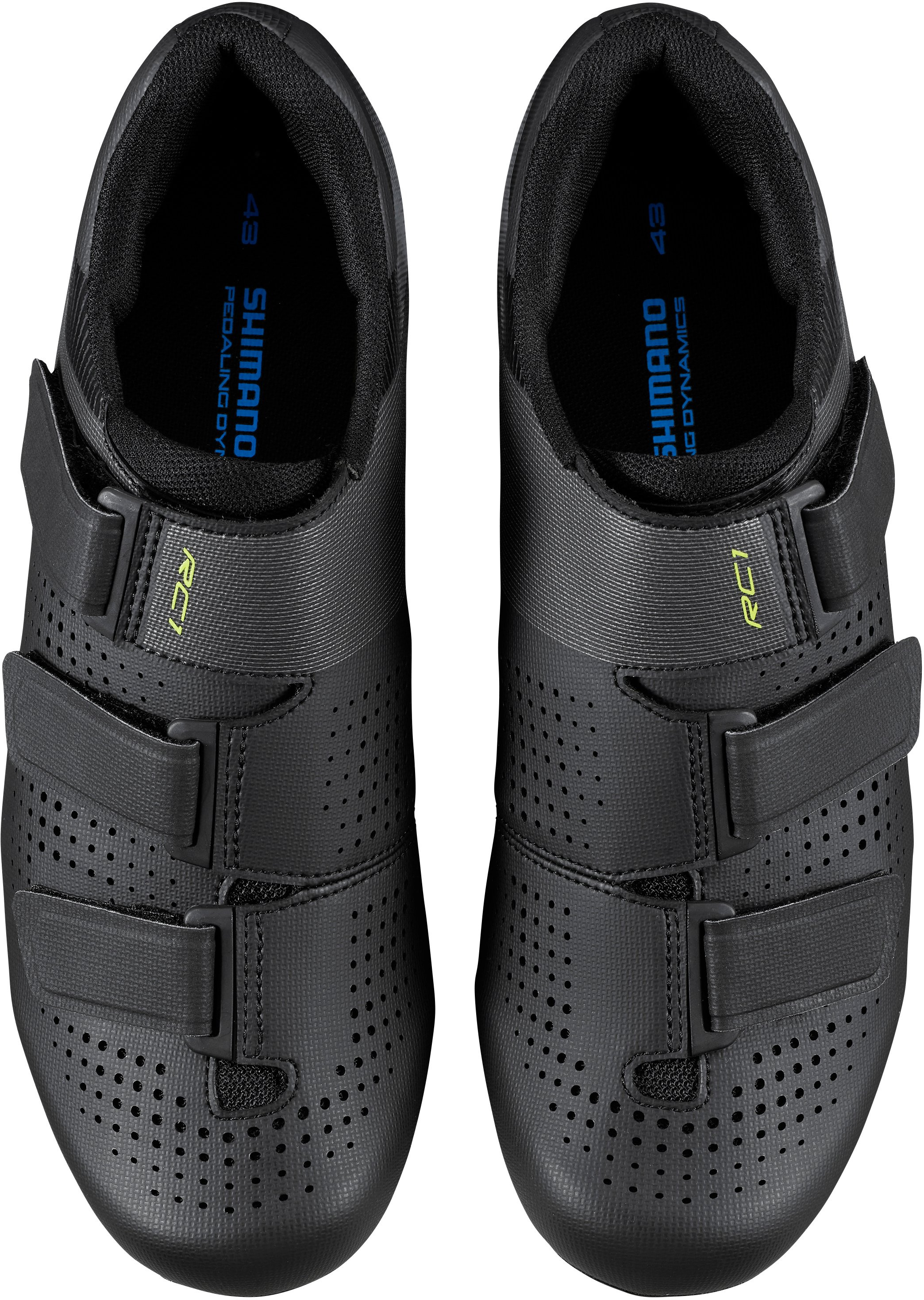 Shimano RC1 Cycling Shoe Zappos