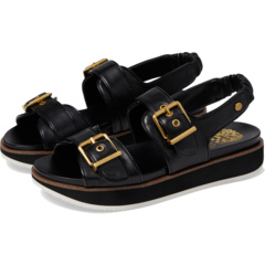 (取寄) ヴィンスカムート レディース アニベイ Vince Camuto women Anivay Black Women's Vince Camuto Anivay | Zappos.com